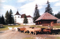 Museum of LIptov village in Pribylina