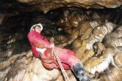 You can admire the beauty of the caves in the area Ruzomberok